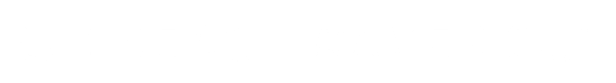 The Beachwaver Co.