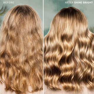 Shine Bright Vegan Keratin + Argan Serum