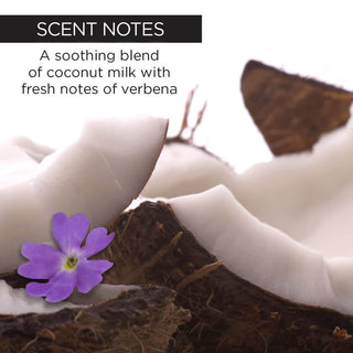 Coconut Milk+Verbena After Sun Soothing Gel